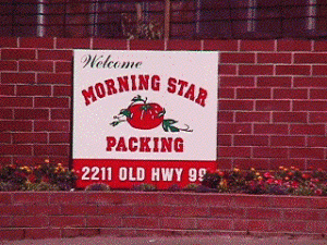 Morning Star welcome